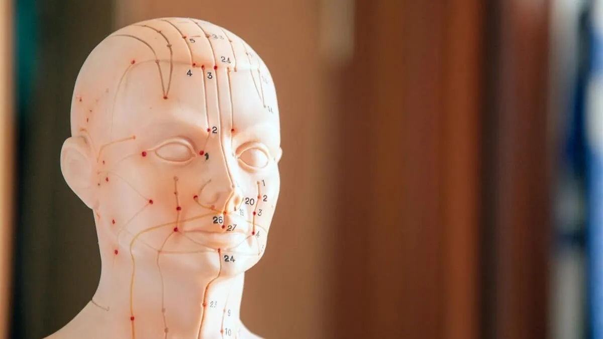 電気鍼：古代の知恵、現代の電流