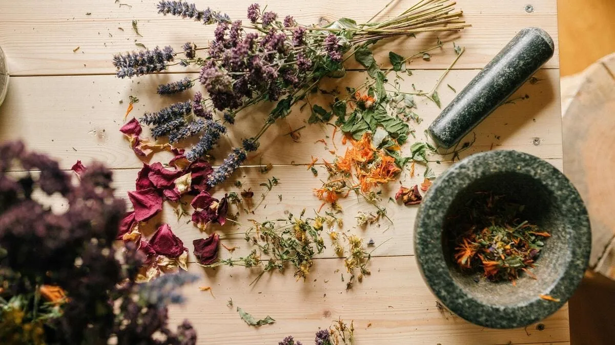 指先が明かす健康状態：中医学の視点から