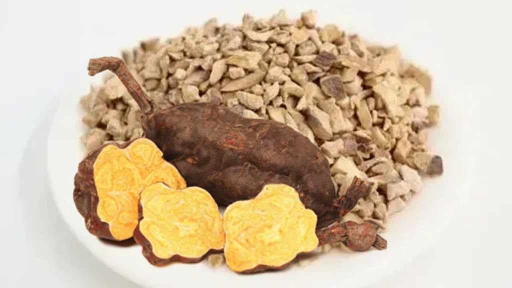 漢方生薬「カシュウ（何首烏）」の画像