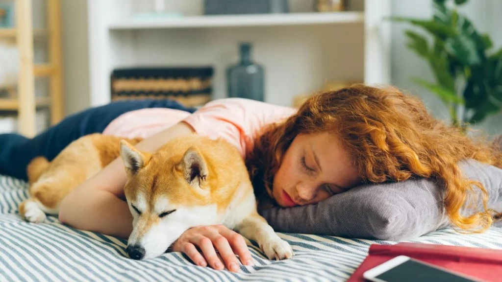 女性が犬と添い寝をしている様子