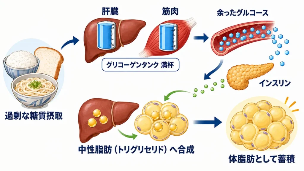 過剰糖質の脂肪合成メカニズムの解説図