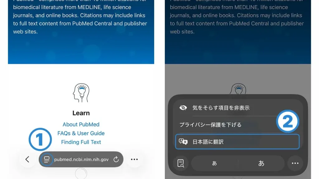 スマホでSafariの翻訳機能を使用する方法