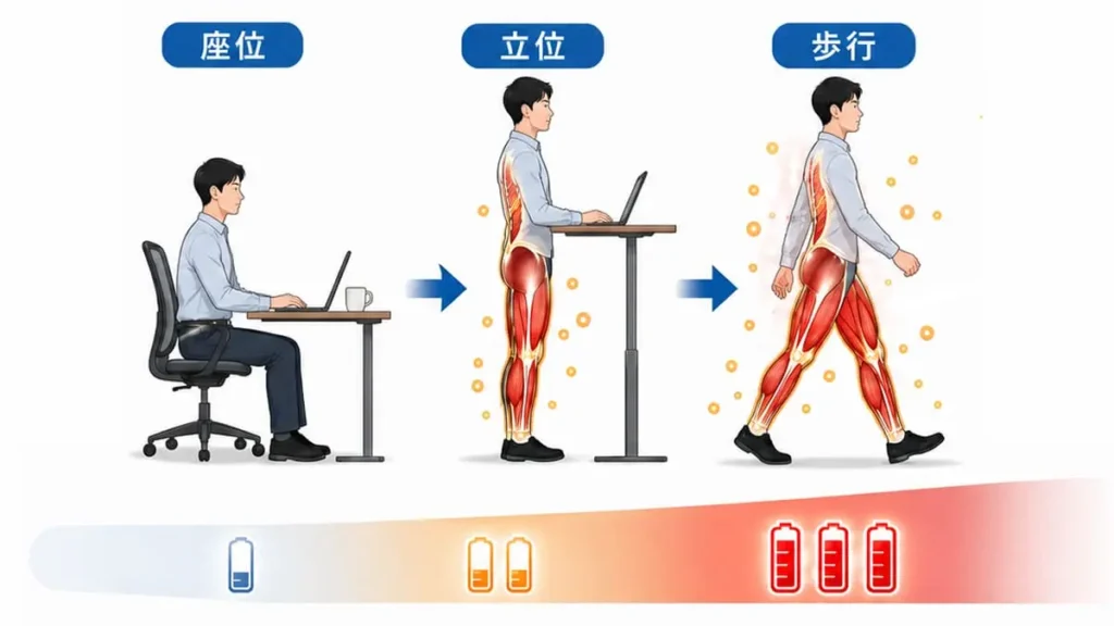 非運動性熱産生(NEAT)における「座位・立位・歩行」別のエネルギー消費のイメージ図